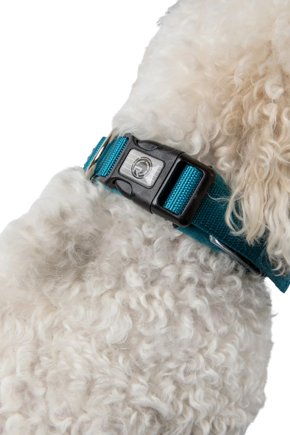 Dog Collar Avett