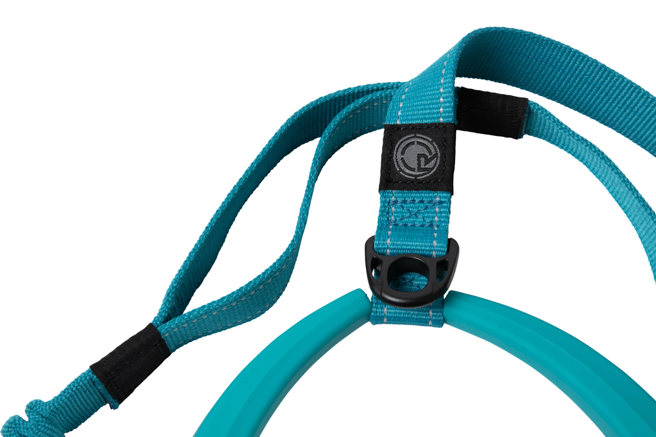 Dog Leash Detail 2