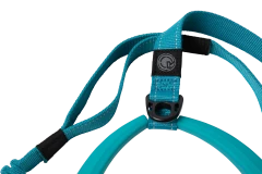 Dog Leash Detail 2