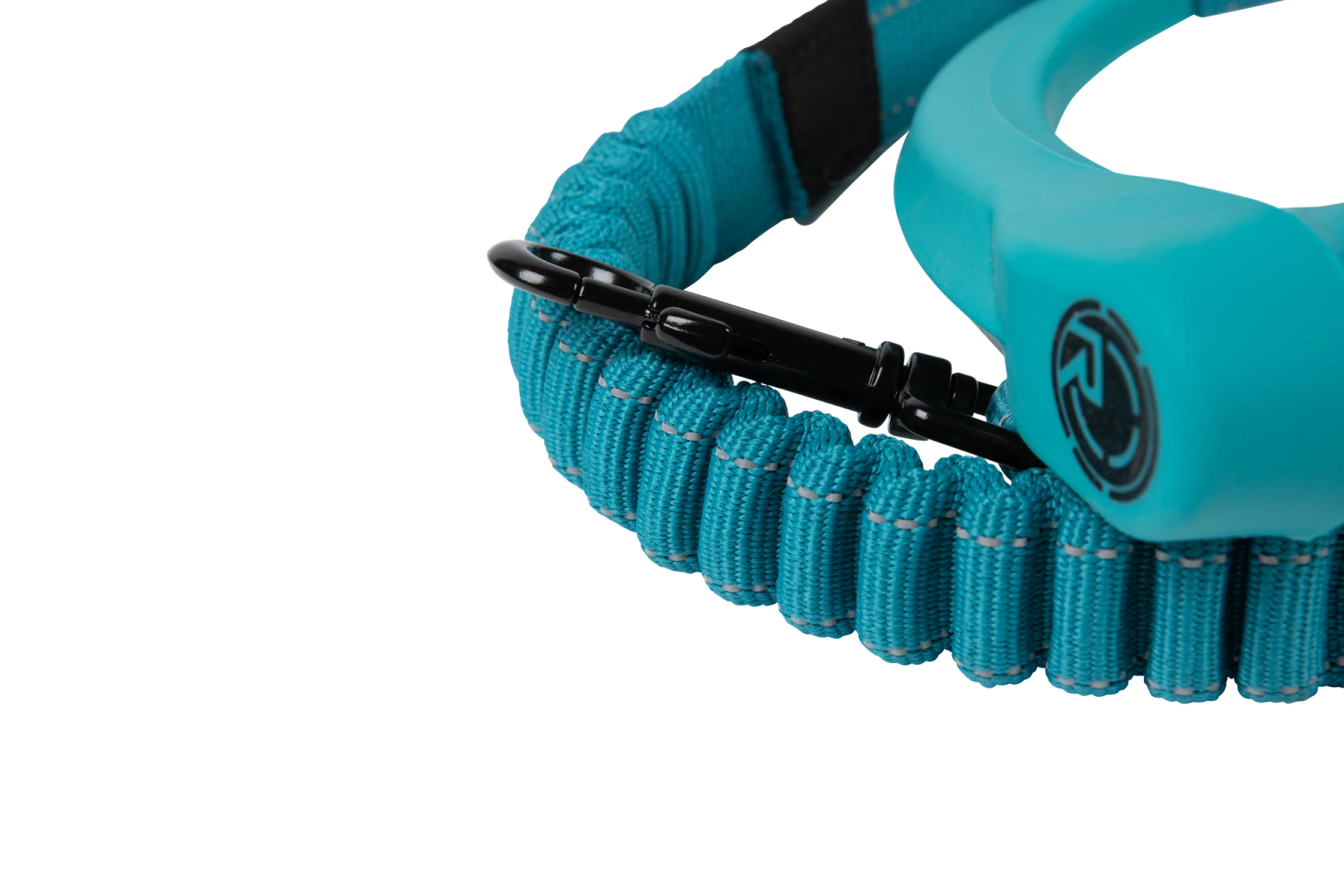 Dog Leash Detail 5