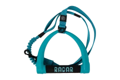 Dog Leash Top
